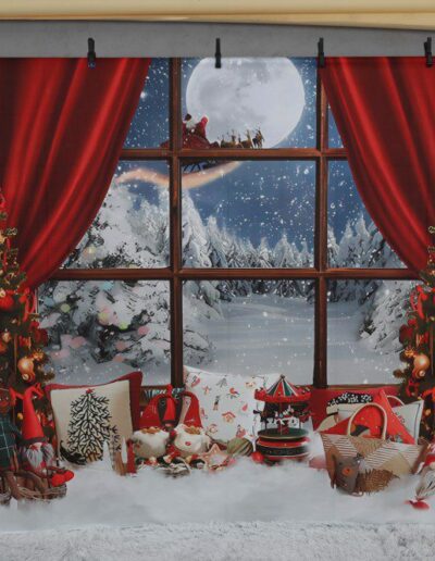 studiofoto portrefoto 21