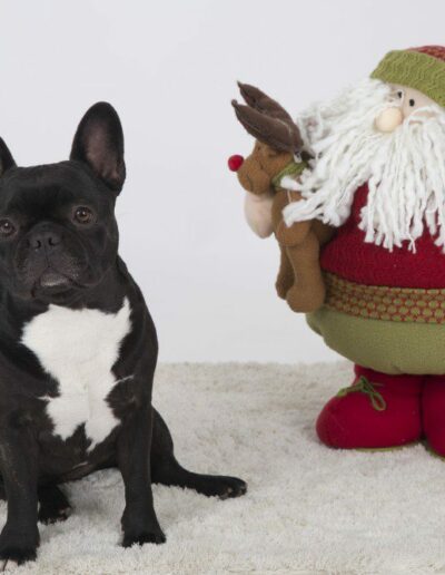 studiofoto portrefoto 9