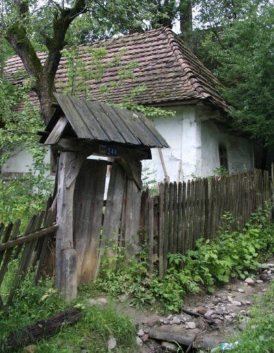 Esküvői-, családi-, ballagási-, iskolai fotózás 16 tihanyi fenykepek 16